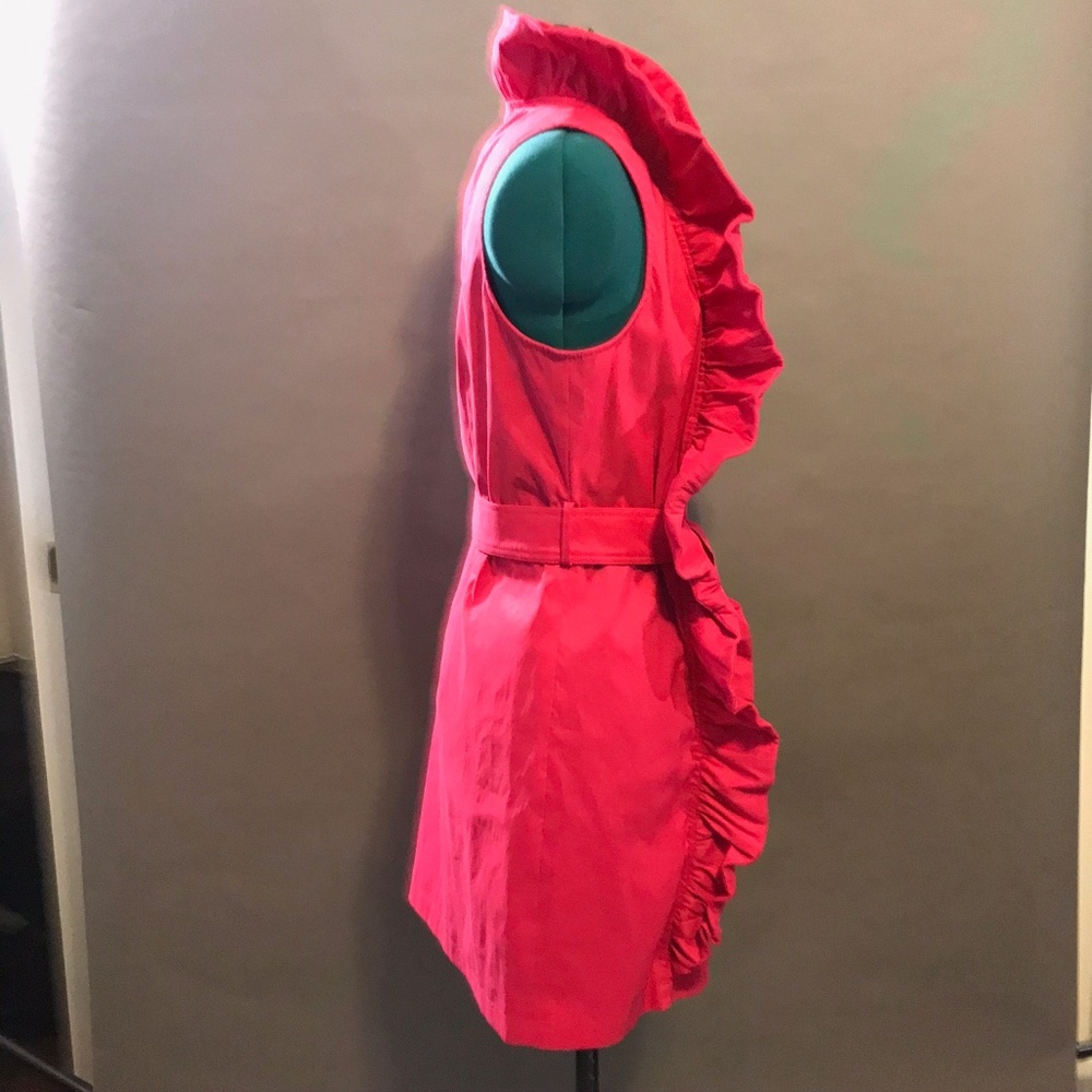 Samuel Dong Raspberry Ruffle Collar Dress Large - Picture 2 of 8